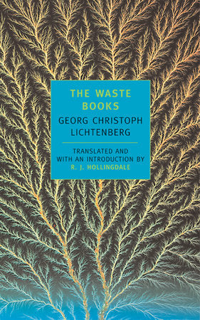 The Waste Books Paperback by Georg Christoph Lichtenberg; Introduction by R. J. Hollingdale