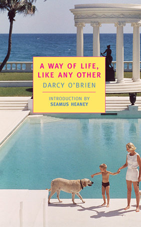 A Way of Life, Like Any Other Paperback by Darcy O'Brien; Introduction by Seamus Heaney