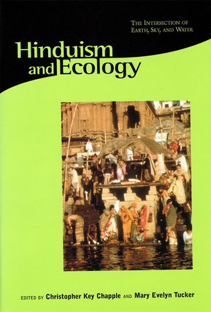 Hinduism and Ecology Hardcover by Christopher Key Chapple