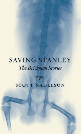 Saving Stanley Paperback by Scott Nadelson