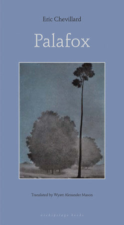 Palafox Paperback by Eric Chevillard