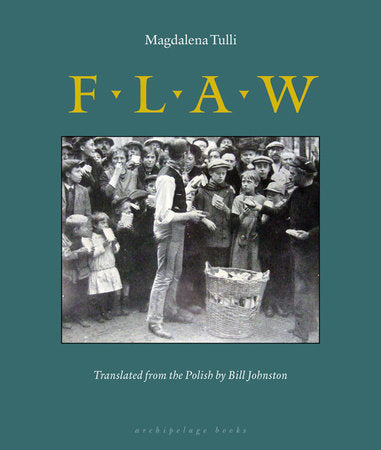 Flaw Paperback by Magdalena Tulli