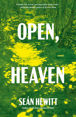 Open, Heaven Paperback by Seán Hewitt