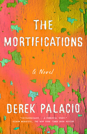 The Mortifications Paperback by Derek Palacio