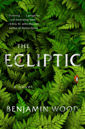 The Ecliptic Paperback by Benjamin Wood