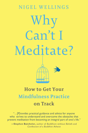 Why Can't I Meditate? Paperback by Nigel Wellings