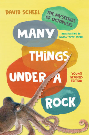 Many Things Under a Rock Young Readers Edition Hardcover by David Scheel