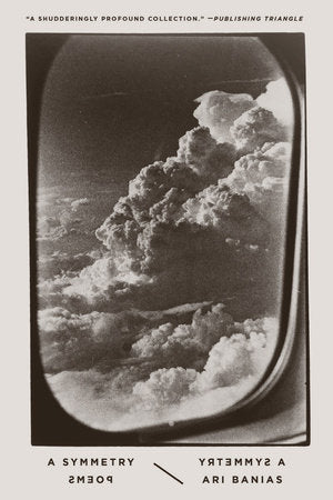 A Symmetry Paperback by Ari Banias