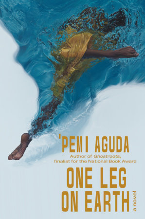 One Leg on Earth Hardcover by Pemi Aguda