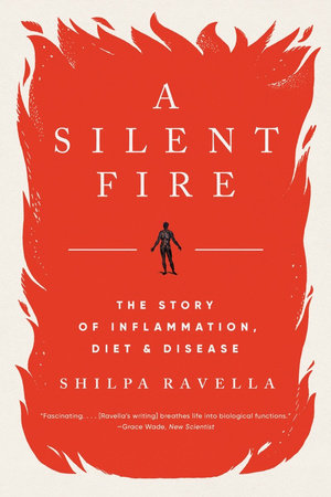 A Silent Fire Paperback by Shilpa Ravella