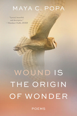 Wound Is the Origin of Wonder Paperback by Maya C Popa
