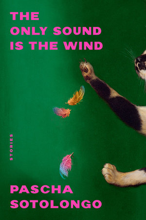The Only Sound Is the Wind Paperback by Pascha Sotolongo