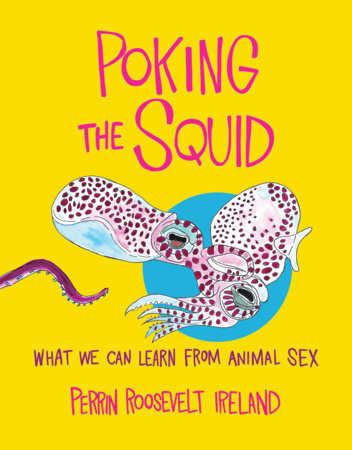 Poking the Squid Hardcover by Perrin Roosevelt Ireland