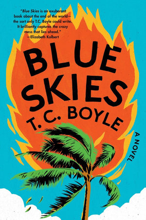 Blue Skies Paperback by T. C. Boyle