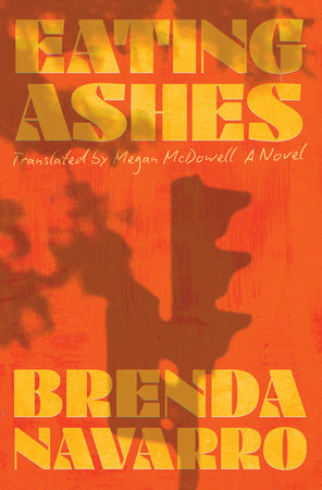 Eating Ashes Hardcover by Brenda Navarro