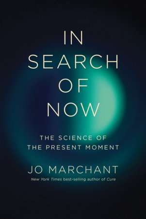 In Search of Now Hardcover by Jo Marchant