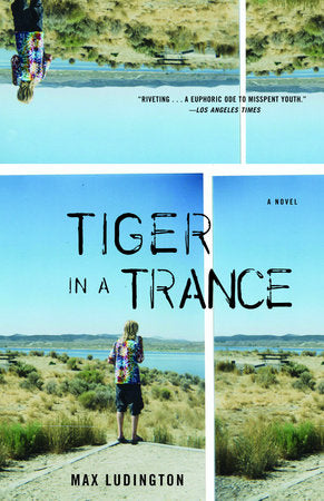 Tiger in a Trance Paperback by Max Ludington