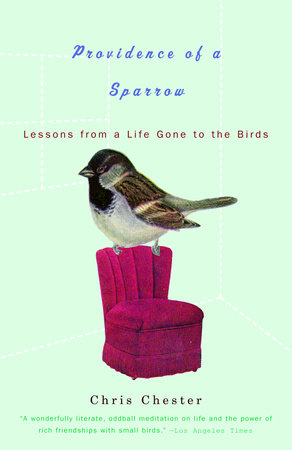 Providence of a Sparrow Paperback by Chris Chester