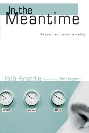 In the Meantime Paperback by Rob Brendle