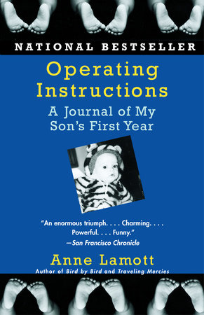 Operating Instructions Paperback by Anne Lamott