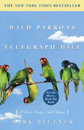 The Wild Parrots of Telegraph Hill Paperback by Mark Bittner