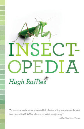 Insectopedia Paperback by Hugh Raffles