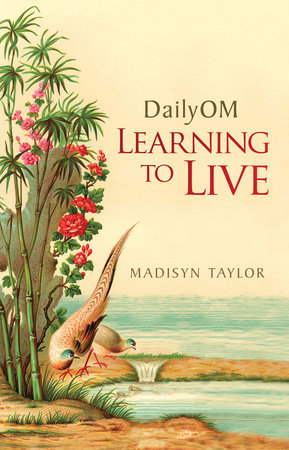 DailyOM Paperback by Madisyn Taylor
