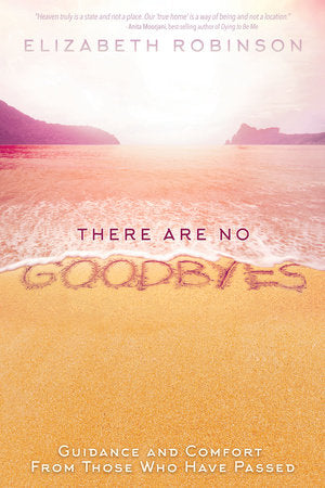 There Are No Goodbyes Paperback by Elizabeth Robinson