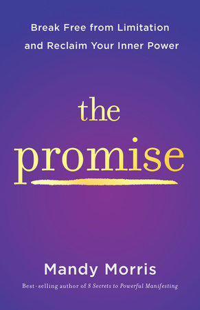 The Promise Paperback by Mandy Morris