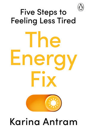 The Energy Fix Paperback by Karina Antram