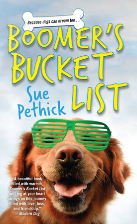 Boomer's Bucket List Paperback by Sue Pethick