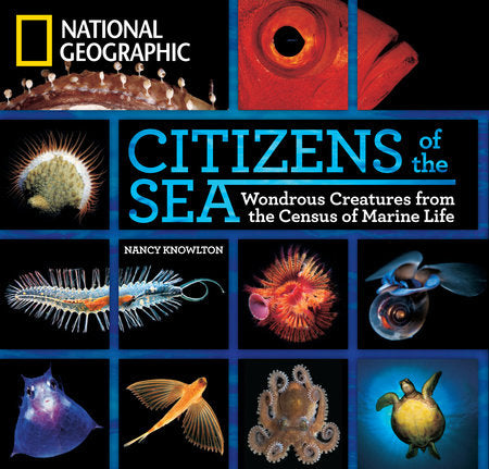 Citizens of the Sea Hardcover by Nancy Knowlton