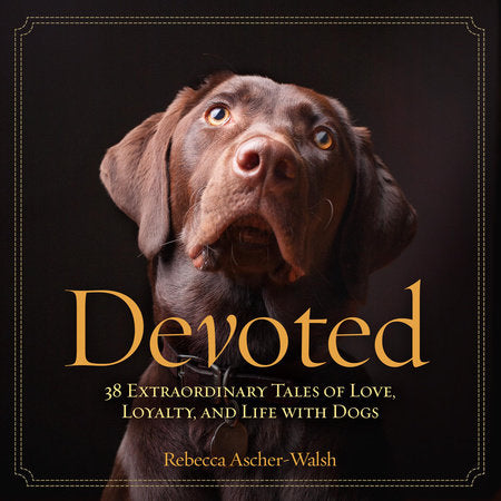 Devoted Hardcover by Rebecca Ascher-Walsh