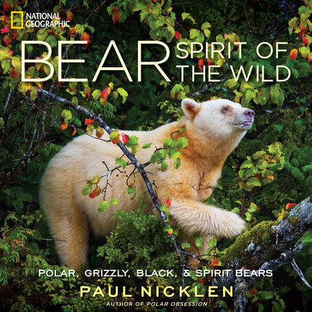 Bear Hardcover by Paul Nicklen