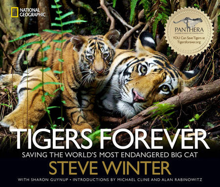 Tigers Forever Hardcover by Sharon Guynup