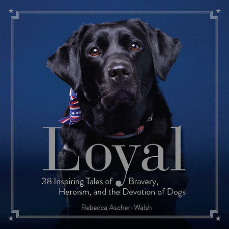 Loyal Hardcover by Rebecca Ascher-Walsh