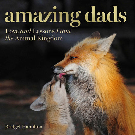 Amazing Dads Hardcover by Bridget Hamilton