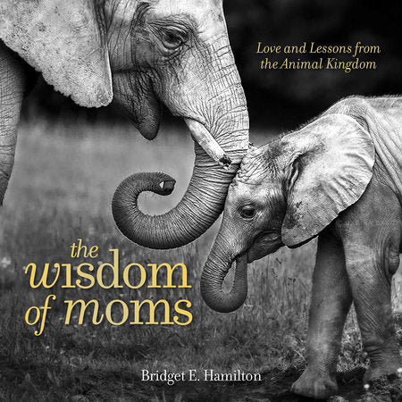 The Wisdom of Moms Hardcover by Bridget Hamilton