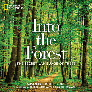 Into the Forest Hardcover by Susan Tyler Hitchcock