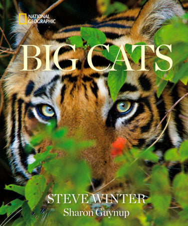 Big Cats Hardcover by Steve Winter and Sharon Guynup