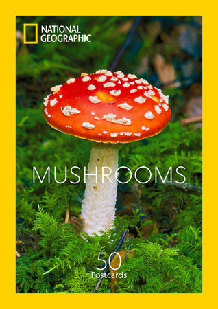 Mushrooms Merchandise by National Geographic