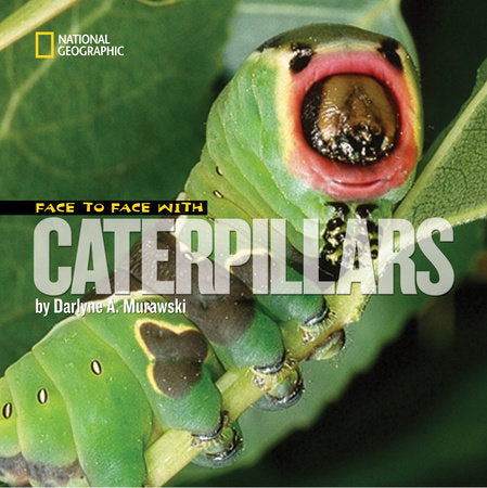 Face to Face with Caterpillars Paperback by Darlyne A. Murawski