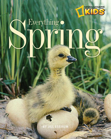 Everything Spring Paperback by Jill Esbaum