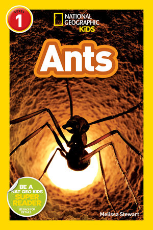 Ants (National Geographic Kids Readers, Level 1) TR by Melissa Stewart