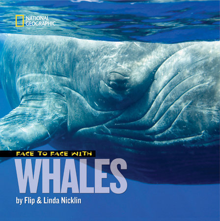 Face to Face with Whales Paperback by Linda Nicklin