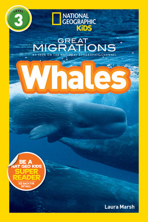 Great Migrations Whales (National Geographic Kids Readers, Level 3) Paperback by Laura Marsh