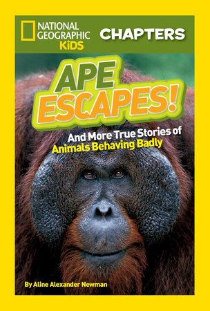 National Geographic Kids Chapters: Ape Escapes! Paperback by Aline Alexander Newman
