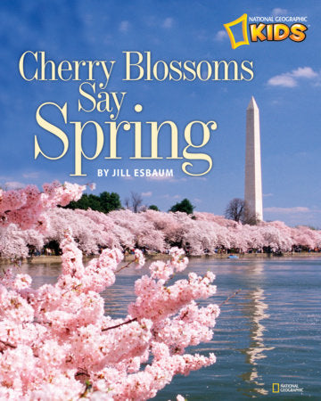 Cherry Blossoms Say Spring Paperback by Jill Esbaum