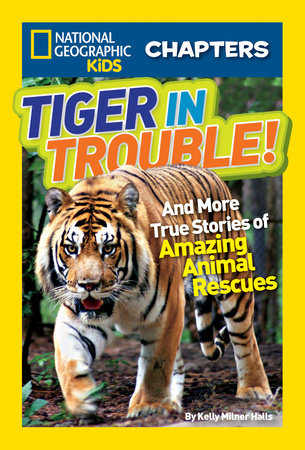 National Geographic Kids Chapters: Tiger in Trouble! Paperback by Kelly Milner Halls