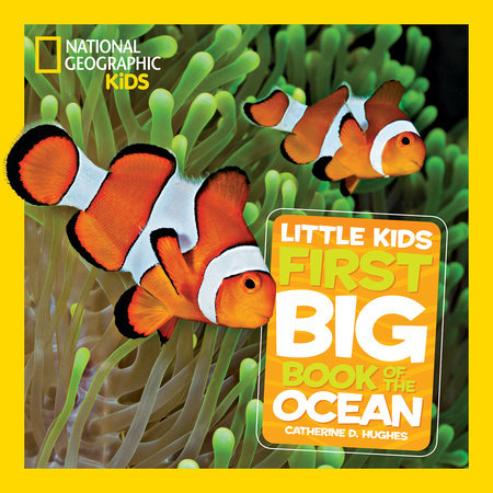 National Geographic Little Kids First Big Book of the Ocean Hardcover by Catherine D. Hughes